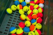 20 Srixon (Divide) Golf Balls