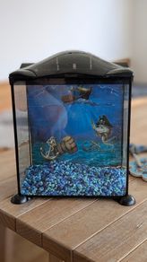 Fish tank