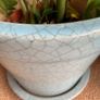 Plant pot Image 3