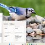 i5 HP Windows 11 PC computer - 16gb ram 256gb SSD - School Office College ROBLOX ++FREE DELIVERY++ Image 2