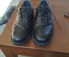 footjoy dimension golf shoes