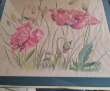 Large Poppy Framed Coter Coloer Signed Adele Sweeny 1990.