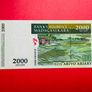 Madagascar  2,000 Ariary / 10,000francs  ( UNCIRCULATED )OVERPRINT  2007 Pick93a Commemorative Issue. Image 2