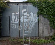 Heavy Steel Ladder