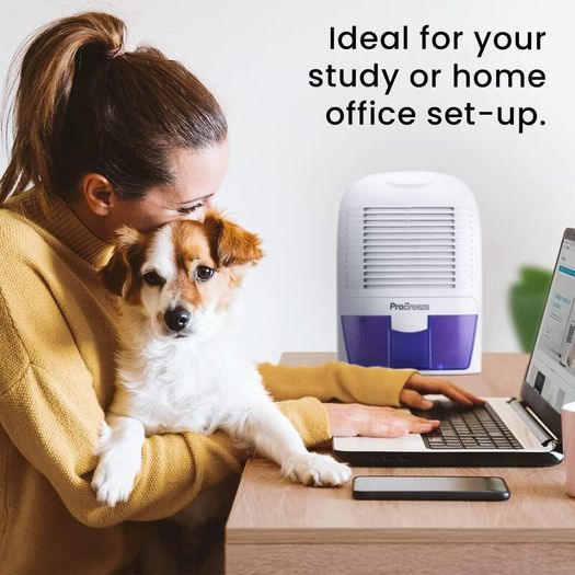 Dehumidifier 1500ml Portable Air Dehumidifier for Damp, Mould, Moisture in Home, Kitchen, Bedroom, Caravan, Office, Garage, Bathroom, Basement