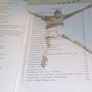 Great Gaa Moments of 2006 Book For Sale Here Image 4