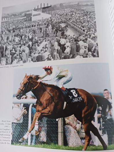 Winner all right/ 100 years of Irish Racing & Breeding/Guy ST John Williams/ 1999/ Limited edition