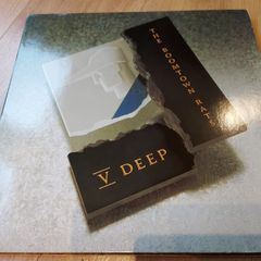 Boomtown Rats - V Deep - Vinyl Record