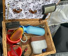 dog grooming & food accessories basket