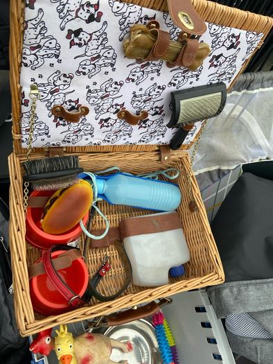 dog grooming & food accessories basket