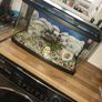 40 liter full glass aquarium with 2 filters and lots of extras Image 2