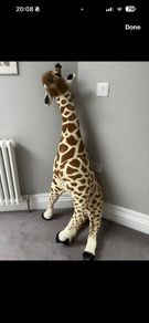 giraffe