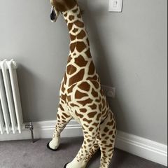 giraffe
