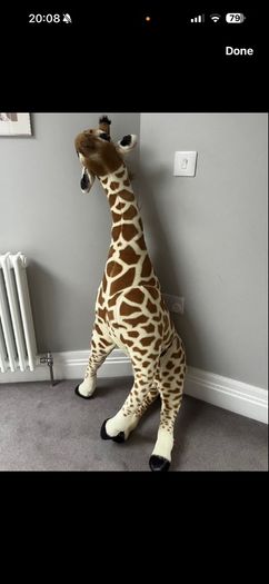 giraffe