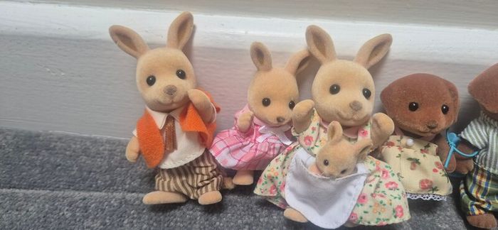 Sylvanian Family House & Accessories