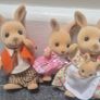 Sylvanian Family House & Accessories Image 4