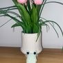 Minty the frog Image 2