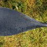 Carbon SUP Paddle Image 3