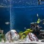 125L Fluval Tank Image 2
