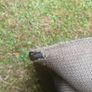 Honda Izzy Grass Bag Image 4