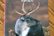 Alaska Coffee Table Book