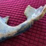Handmade Whale Ceramic Wall Decor Image 2