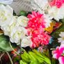 flowers Image 5