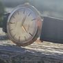 Vintage Gold Omega Image 8