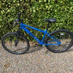 Teenager Mountain Bike