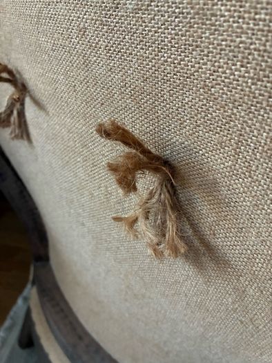 Deconstructed French napoleonic  style chair