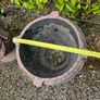 garden pots Image 4