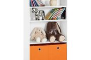 Kids Bookcase with boxes