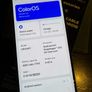 Oppo Reno8 Z 5G Dual Sim Image 3