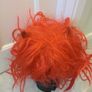 Devil's wig Image 2