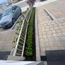 Box Hedging Image 4