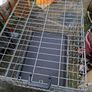 Large Metal Savic dog crate with Tray and can be folded down as in photos, Postage Available Image 7