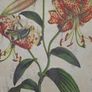 Beautiful Set of 3 Vintage Botanical Canvas Prints by Wild Apple Portfolio Image 7