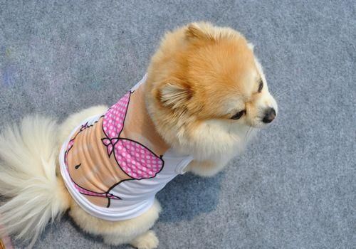 NEW dog and cat muscle/bikini printed t-shirt SIZES S-M-L