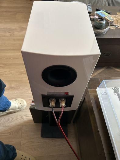 DALI Rubicon 2 (White) + Stands