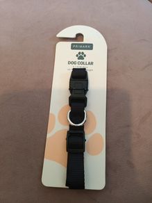 dog collar