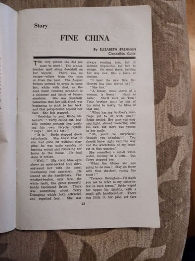 The Irish Countrywoman Official Year Book 1963-1964. Bantrace Na Tuata. Paperback In Good Condition.