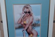 Pamela Anderson Autographed 10x8 Photo Framed with Certificate of Authenticity (COA)