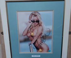 Pamela Anderson Autographed 10x8 Photo Framed with Certificate of Authenticity (COA)