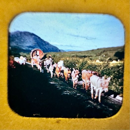 Viewmaster reels of Ireland