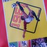 Panini.com 50th Anniversary football card collectors red satchel Postage included Image 2