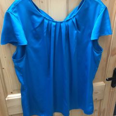 Ann Taylor blouse