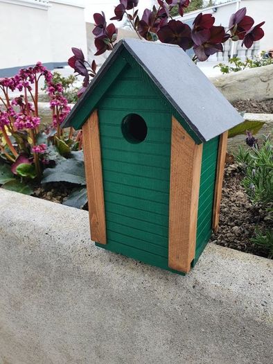 bird box