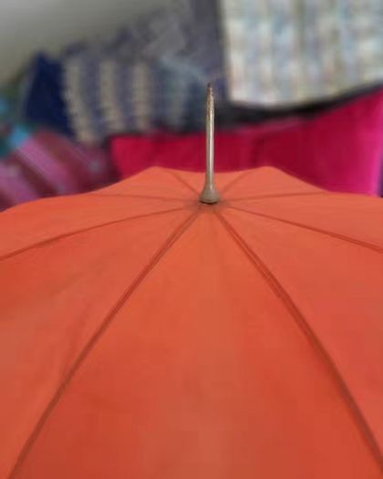 Vintage Parasol