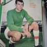 collectable football Image 3