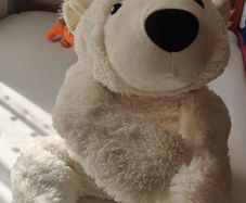 Taddy bear